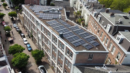 dji_fly_20230718_161046_315_1689689504279_photo_optimized